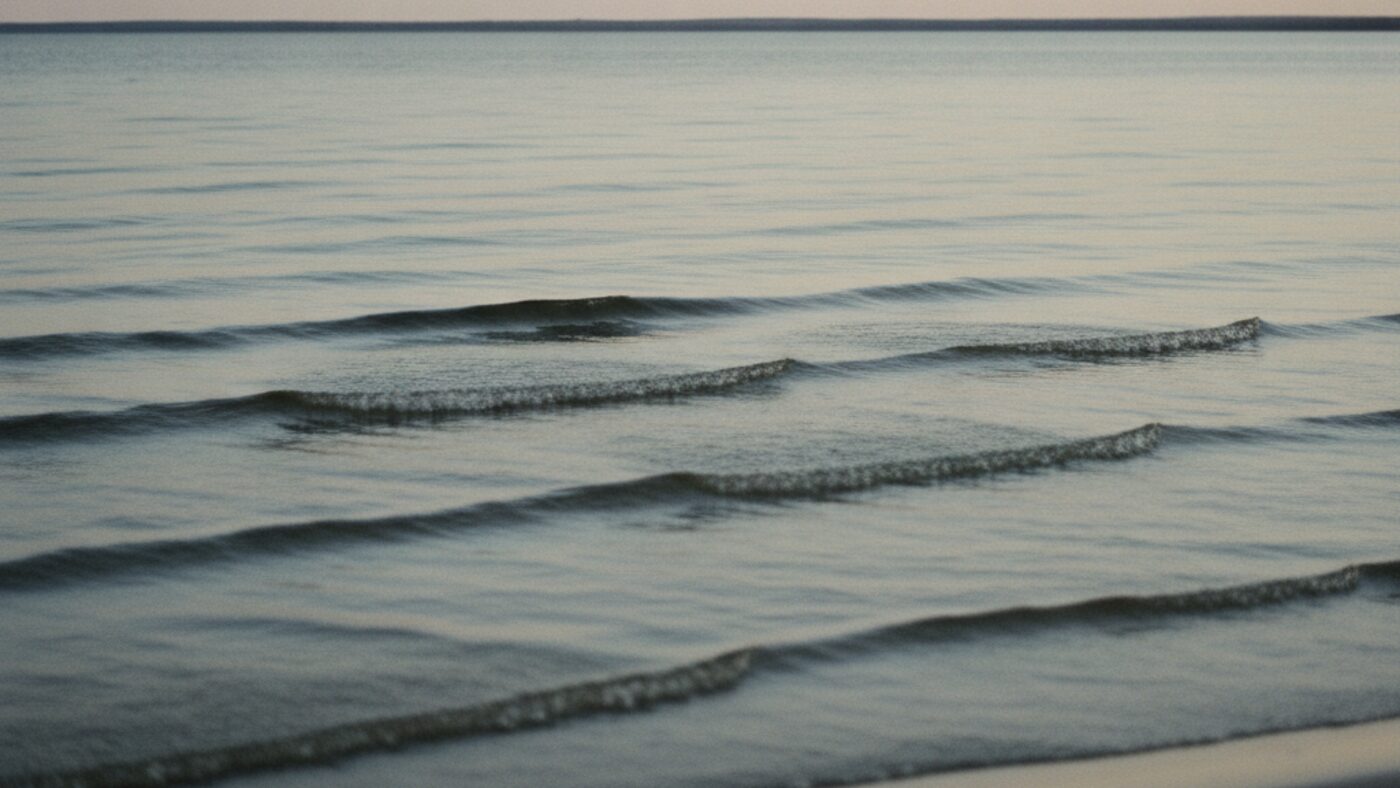 Calm water with widely spaced ripples reaching a shoreline in low light