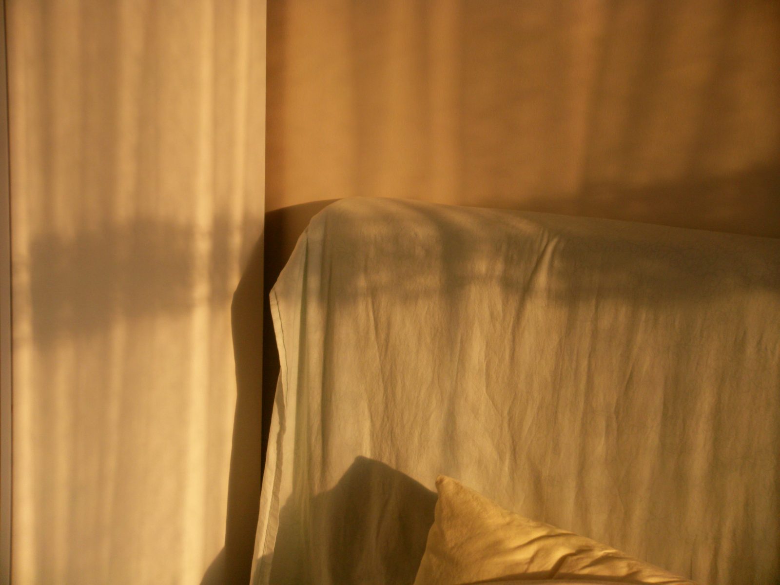 Soft morning light across a bed, representing restored sleep during PTSD recovery in Ottawa